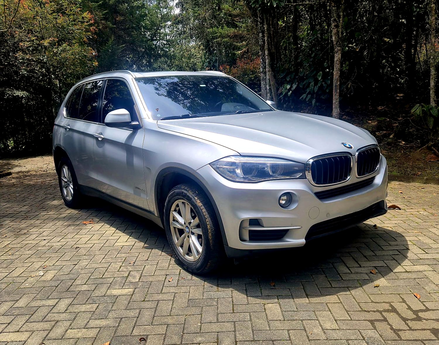 BMW X5 xDrive Diesel foto 6