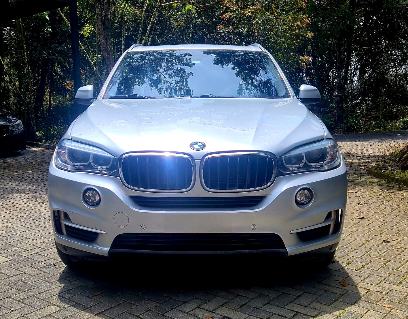 BMW X5 xDrive Diesel foto 8