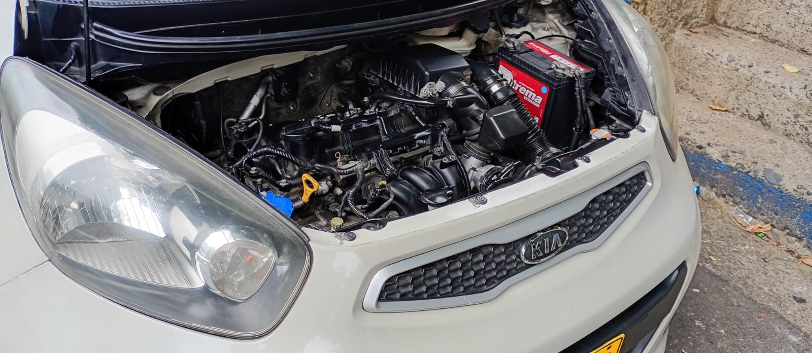 Kia Picanto Ion 1.0 foto 6