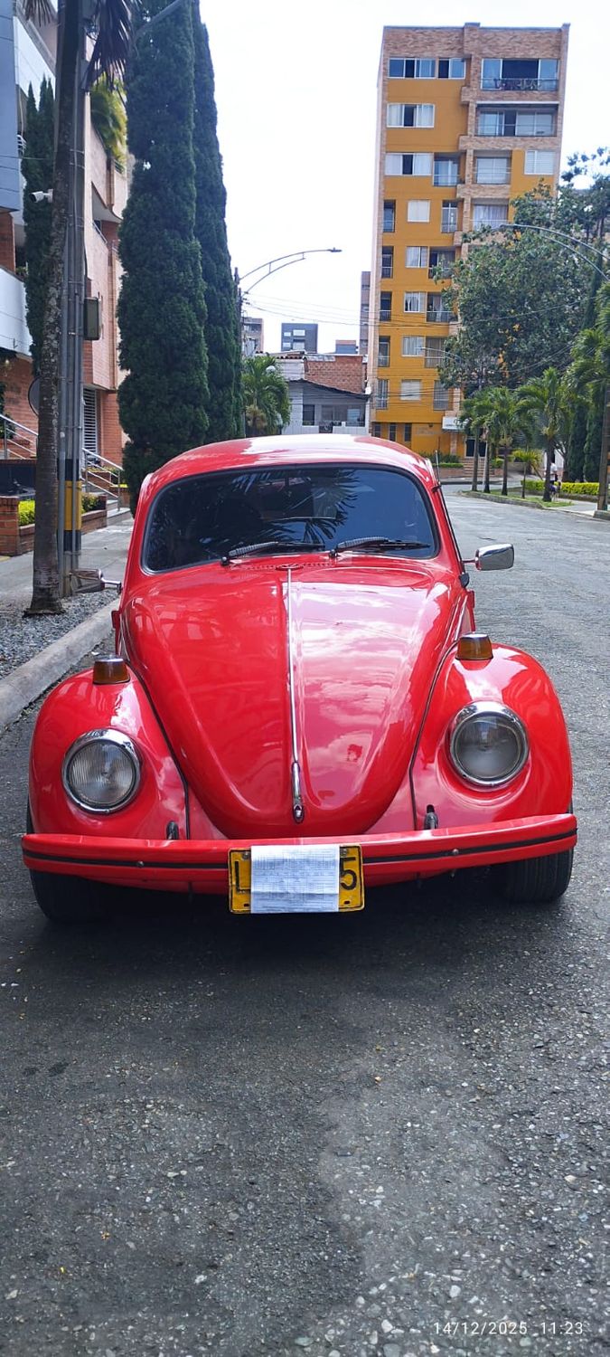 Volkswagen Escarabajo foto 5